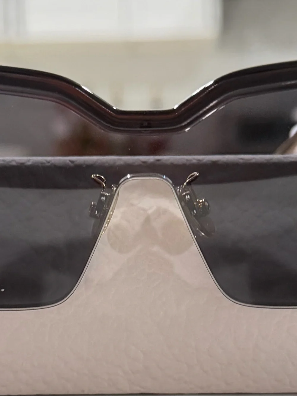 Dior modern shield